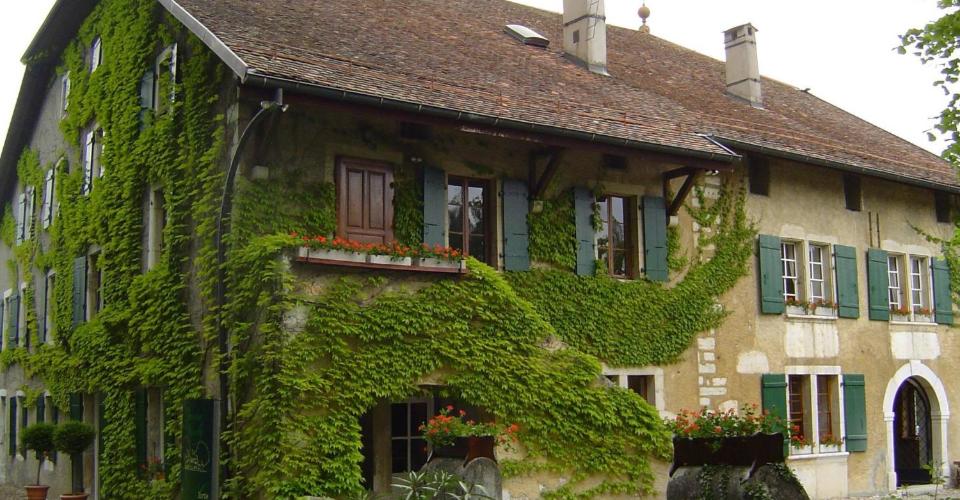 Satigny