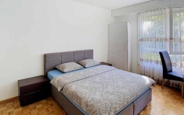 Wohnung 4 Zimmer - image - 4