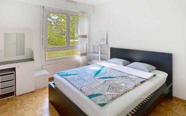 Wohnung 4 Zimmer - image - 5