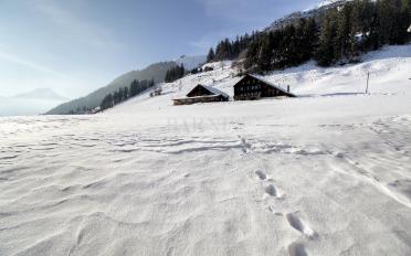 Chalet 9 pièces - image - 8