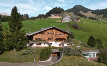 Chalet 9 pièces - image - 2