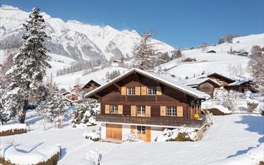 Chalet 6.5 Zimmer - image - 1