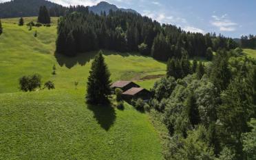 Chalet 6 rooms - image - 10