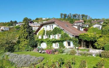 Villa 10.5 pièces - image - 12