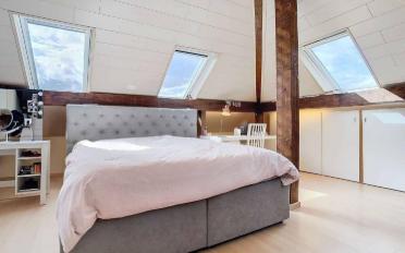 Single house 15 rooms - image - 6