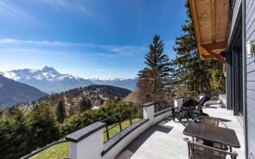 Chalet 9.5 pièces - image - 3