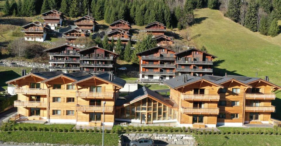 Morgins