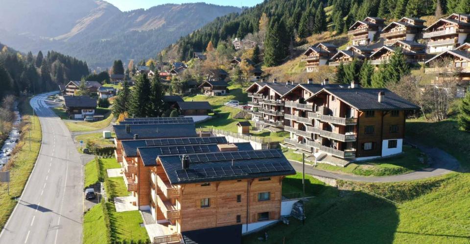 Morgins