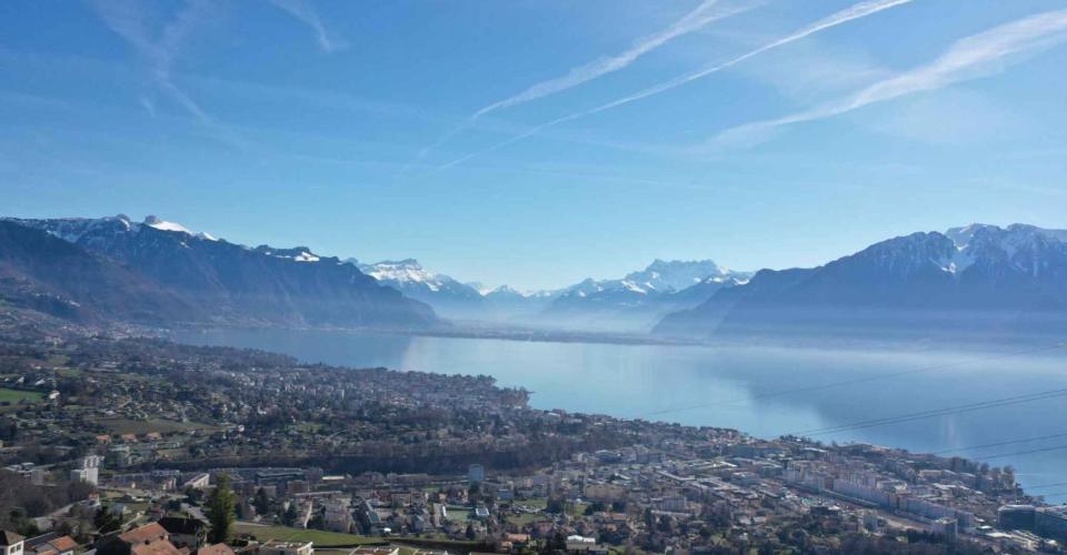 Chardonne