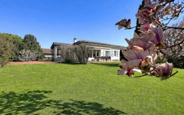 Villa 8 Zimmer - image - 13