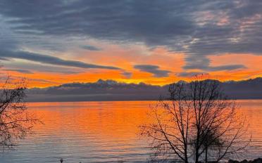 Wohnung 4.5 Zimmer - image - 1