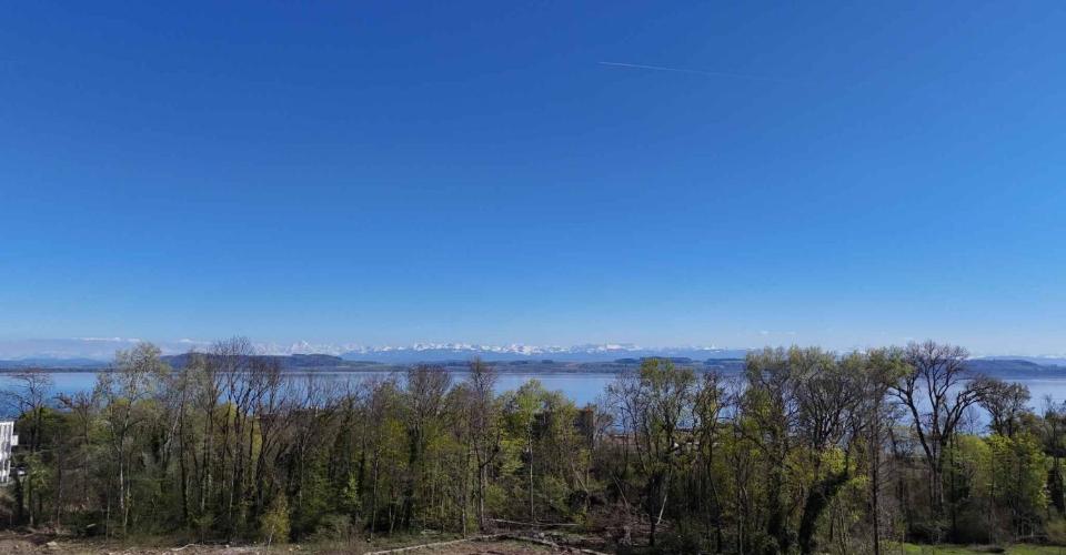 Hauterive NE