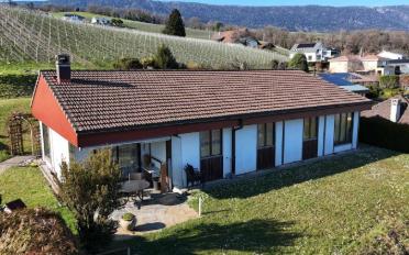 Villa 5.5 pièces - image - 9