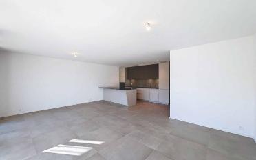 Wohnung 3.5 Zimmer - image - 1