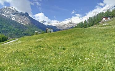 Terrain à bâtir - image - 6