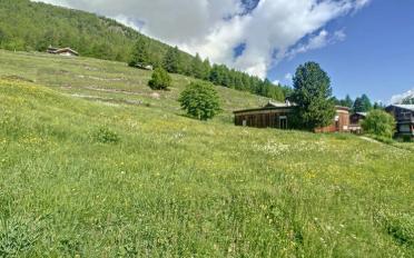 Terrain à bâtir - image - 5