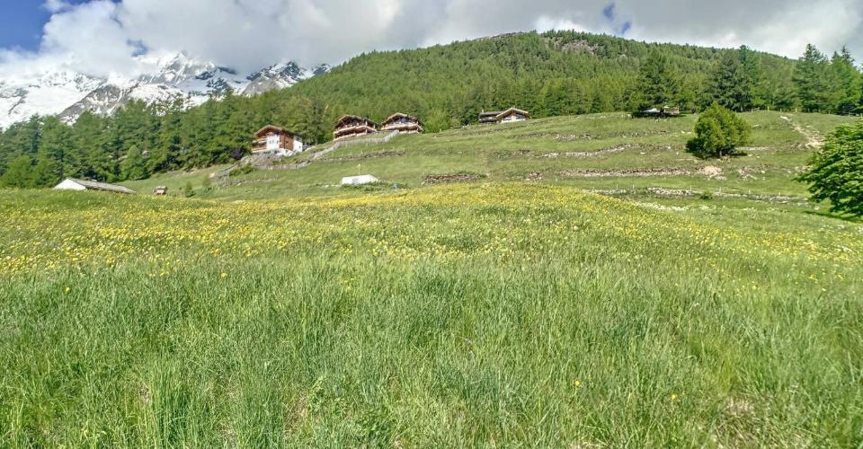 Saas-Fee
