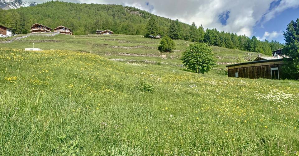 Saas-Fee