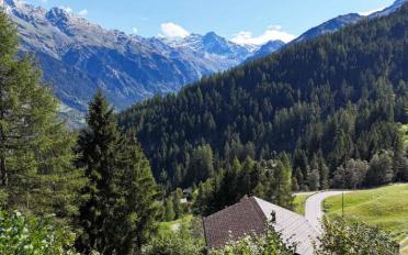 Chalet 3.5 rooms - image - 4