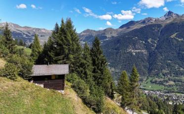 Chalet 3.5 rooms - image - 2