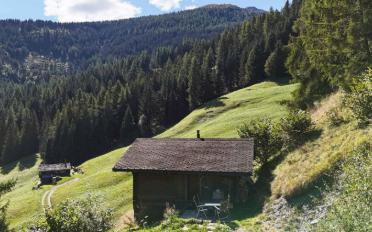 Chalet 3.5 rooms - image - 3