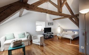 Villa 10 Zimmer - image - 8