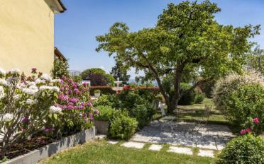 Villa 10 Zimmer - image - 12