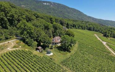 Villa 7.5 pièces - image - 11