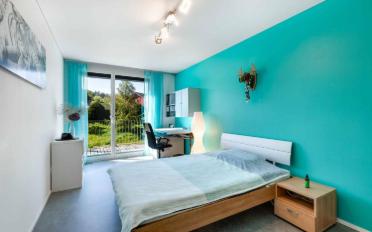Villa 6.5 Zimmer - image - 6