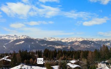 Chalet 10 pièces - image - 6