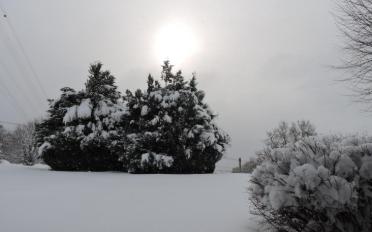 Einfamilienhaus 7 Zimmer - image - 6