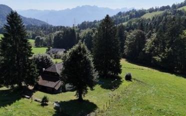 Chalet 15 rooms - image - 3