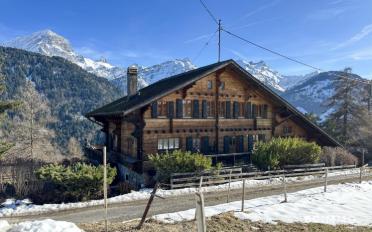 Chalet 14 Zimmer - image - 2