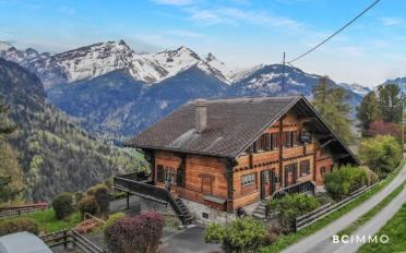 Chalet 14 rooms - image - 1