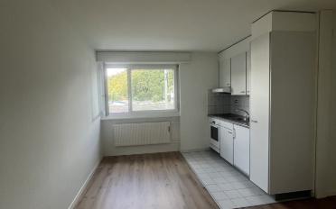 Apartment 1.5 rooms - image - 3