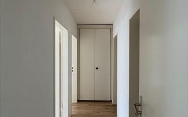 Wohnung 4.5 Zimmer - image - 3