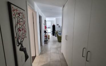 Wohnung 4.5 Zimmer - image - 9