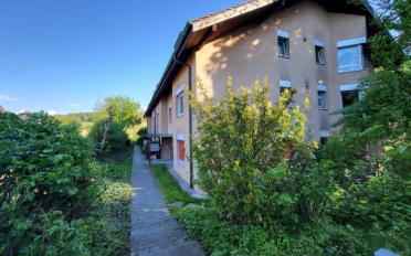 Wohnung 3.5 Zimmer - image - 5