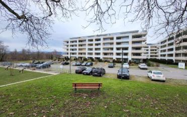 Wohnung 2.5 Zimmer - image - 1