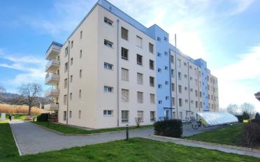 Wohnung 2.5 Zimmer - image - 4