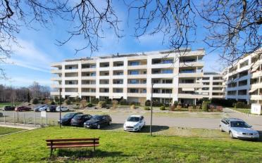 Wohnung 2.5 Zimmer - image - 1