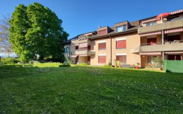 Wohnung 4.5 Zimmer - image - 2