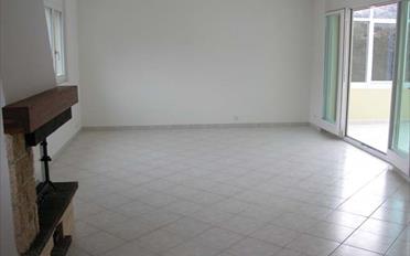 Row house 10 rooms - image - 6
