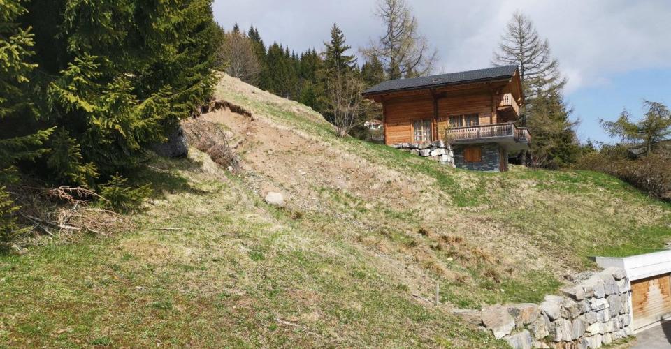 Morgins