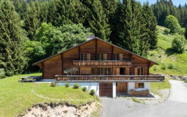 Chalet 9.5 pièces - image - 12