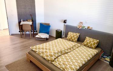 Attic flat 5.5 rooms - image - 6