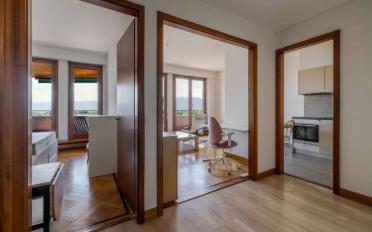 Wohnung 2.5 Zimmer - image - 1