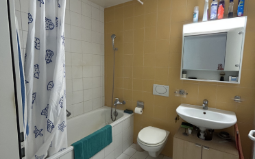 Appartement 2.5 pièces - image - 8