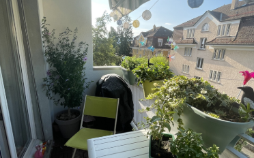 Appartement 4.5 pièces - image - 6
