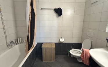 Appartement 2.5 pièces - image - 9